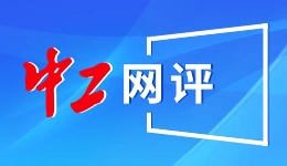 习近平的两会之喻｜城市管理应该像绣花一样精细